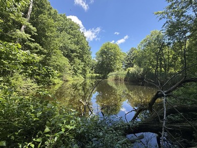 This premium 85-acre recreational property offers the ultimate - photo 18