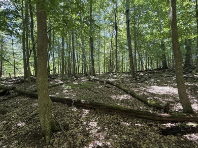 This premium 85-acre recreational property offers the ultimate - photo 19