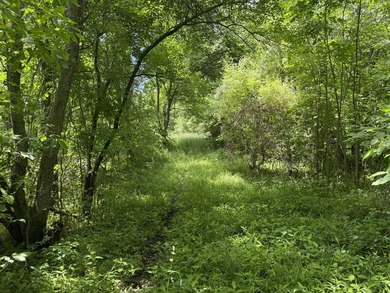This premium 85-acre recreational property offers the ultimate - photo 21