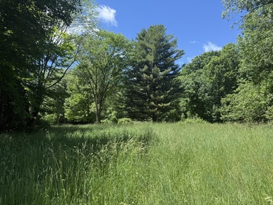 This premium 85-acre recreational property offers the ultimate - photo 23