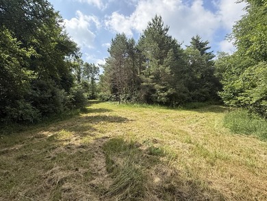 This premium 85-acre recreational property offers the ultimate - photo 25