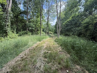 This premium 85-acre recreational property offers the ultimate - photo 28