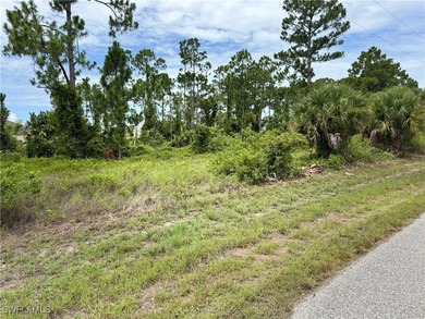 Lehigh Acres Area Lot For Sale in Lehigh Acres Florida
