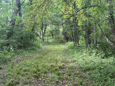 This premium 85-acre recreational property offers the ultimate - photo 33