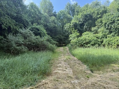 This premium 85-acre recreational property offers the ultimate - photo 38
