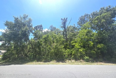 Build your DREAM HOME on this beautifully situated .32-ACRE - photo 3