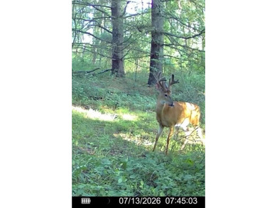 This premium 85-acre recreational property offers the ultimate - photo 44