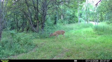 This premium 85-acre recreational property offers the ultimate - photo 45