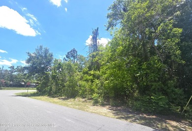 Build your DREAM HOME on this beautifully situated .32-ACRE - photo 5