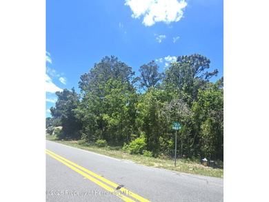 Build your DREAM HOME on this beautifully situated .32-ACRE - photo 7