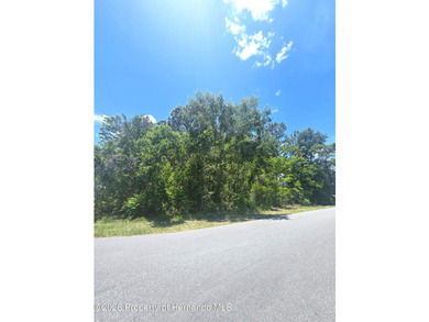 Build your DREAM HOME on this beautifully situated .32-ACRE - photo 8