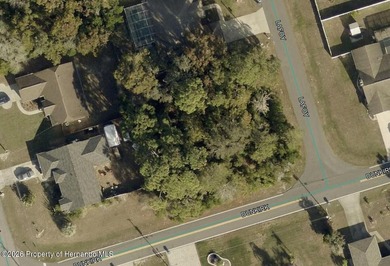 Build your DREAM HOME on this beautifully situated .32-ACRE - photo 9