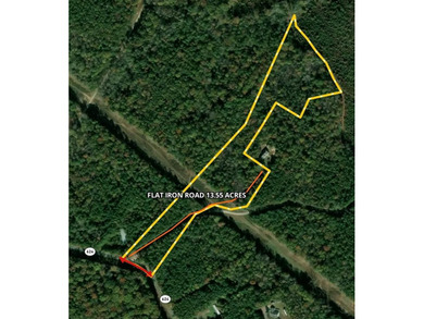 Flat Iron Road is 13.55 acres of wooded land offering a private - photo 1