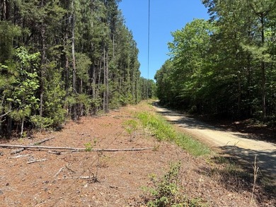 Flat Iron Road is 13.55 acres of wooded land offering a private - photo 2