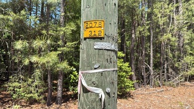 Flat Iron Road is 13.55 acres of wooded land offering a private - photo 3