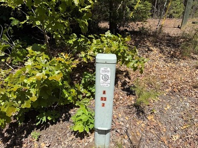 Flat Iron Road is 13.55 acres of wooded land offering a private - photo 4