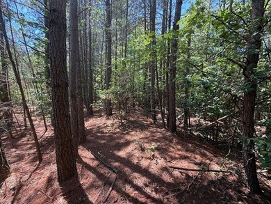 Flat Iron Road is 13.55 acres of wooded land offering a private - photo 5