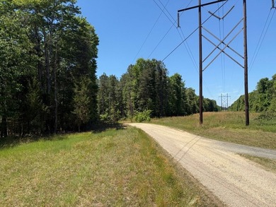 Flat Iron Road is 13.55 acres of wooded land offering a private - photo 6