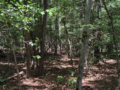 Flat Iron Road is 13.55 acres of wooded land offering a private - photo 7