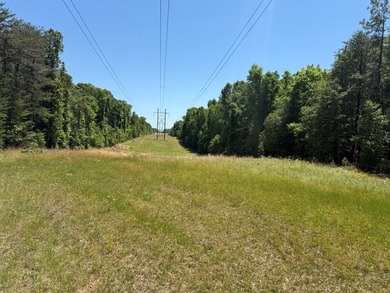 Flat Iron Road is 13.55 acres of wooded land offering a private - photo 8