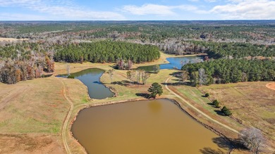 Welcome to one of the most extraordinary land offerings in the - photo 2