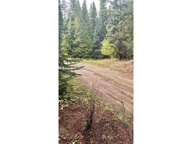 (private lake, pond, creek) Acreage For Sale in Trego Montana