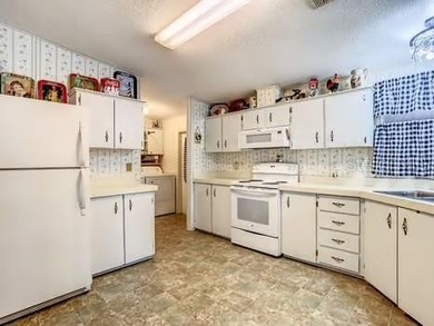 NEW PRICE!! YOU OWN THE LAND!!  BRAND NEW ROOF AND WASHING - photo 28