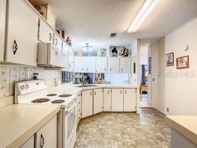 NEW PRICE!! YOU OWN THE LAND!!  BRAND NEW ROOF AND WASHING - photo 30