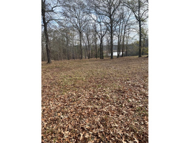 Almost 1 ac lot that sits high with a lot of view of a couple of - photo 2