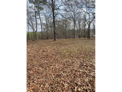 Almost 1 ac lot that sits high with a lot of view of a couple of - photo 3