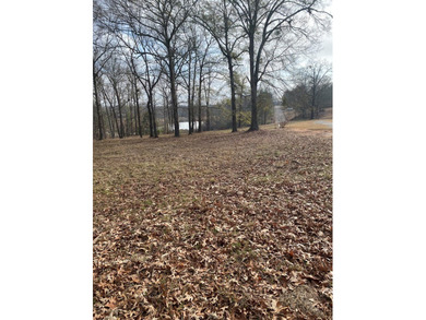 Almost 1 ac lot that sits high with a lot of view of a couple of - photo 4