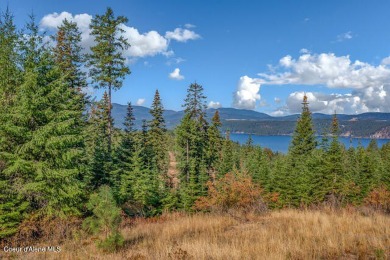 Lake Acreage For Sale in Harrison, Idaho