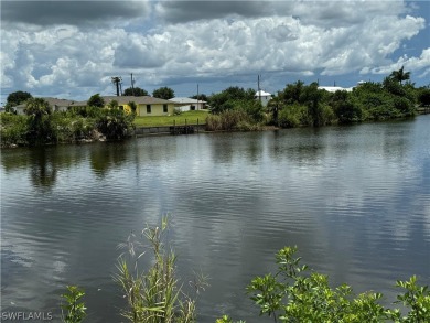 Miles of fresh water boating here at this WIDE 300' basin view - photo 3