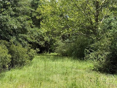 This property is 9.1 acres currently zoned RA. This is a - photo 3