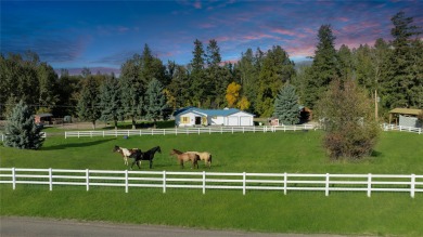Lake Home For Sale in St Ignatius, Montana