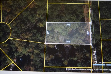 Ski Lake Lot For Sale in Mccalla Alabama