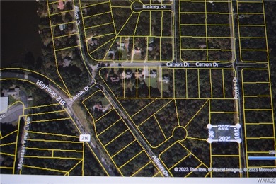 If you're looking for property in the Lakeview/McCalla area - photo 4