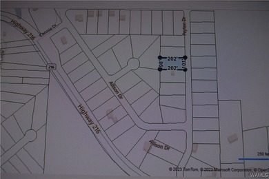 If you're looking for property in the Lakeview/McCalla area - photo 7