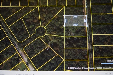 If you're looking for property in the Lakeview/McCalla area - photo 4