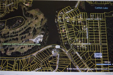 If you're looking for property in the Lakeview/McCalla area - photo 6