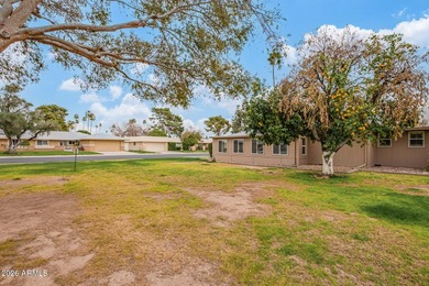 Claim your Tranquility & Elegance in this upscale Remodeled Home - photo 28