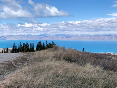 NIGHTLY RENTAL IN BEAUTIFUL BEAR LAKE! Fully stocked *Turn Key* - photo 37