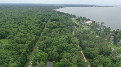 Lake Lot For Sale in Other, Texas