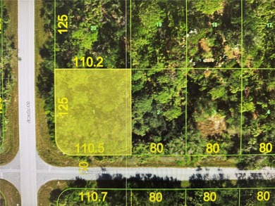 Port Charlotte Waterway Area Lot For Sale in Port Charlotte Florida