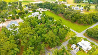 Set along the iconic Cherry Hill Oak Allee, 92 Lost Cypress Way - photo 6