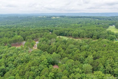 Discover your peaceful Ozark retreat 114 Edgemere Loop in - photo 13