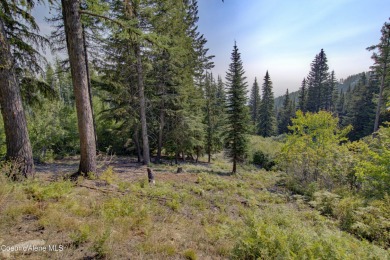 Lake Pend Oreille Lot For Sale in Sandpoint Idaho