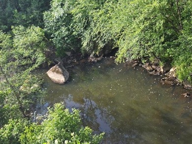 RIVER FRONTAGE!!!!! This is a great place to call home or that - photo 2