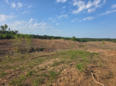 RIVER FRONTAGE!!!!! This is a great place to call home or that - photo 8