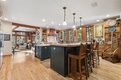 This luxurious home has unparalleled ski access with a private - photo 13